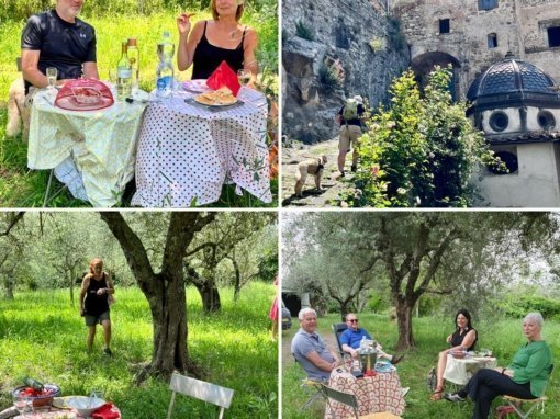 Stadswandeling Bolsena en lunch in onze olijfgaard Quattro Fratelli