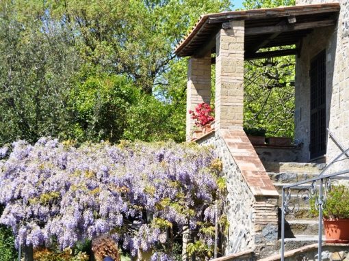 Agriturismo Bolsena