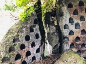 col - De Etrusken achterna.