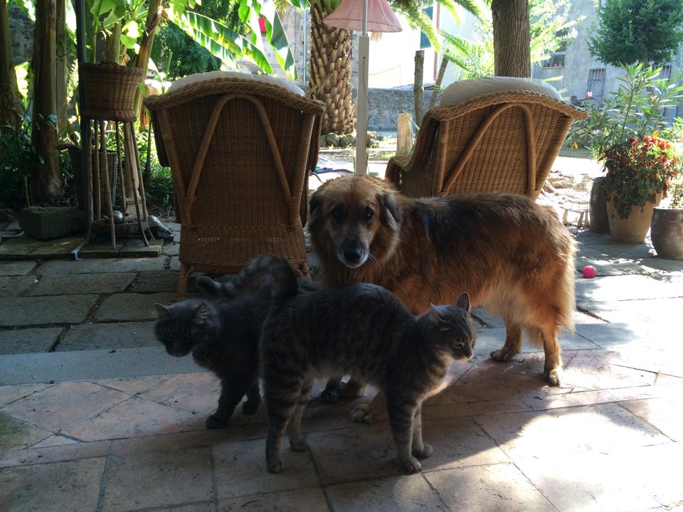 Luna tuin - Blind faith.