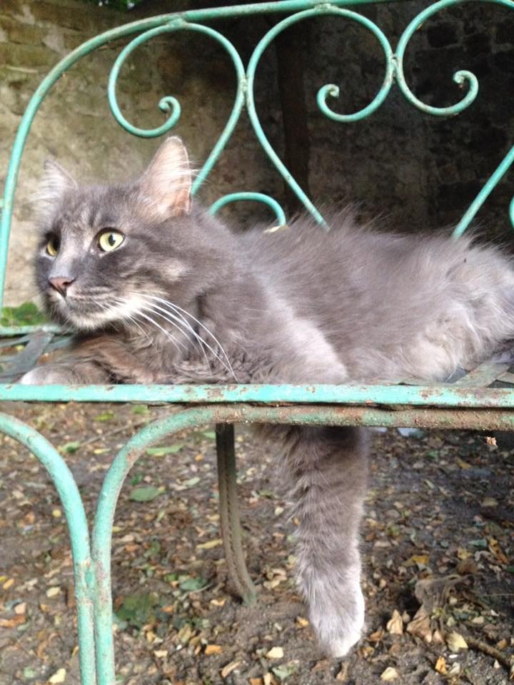 Luna Mariet Bloemendal