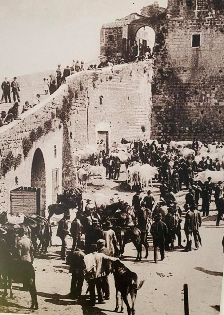 Celleno - Volg de Rode Schoentjes in Celleno