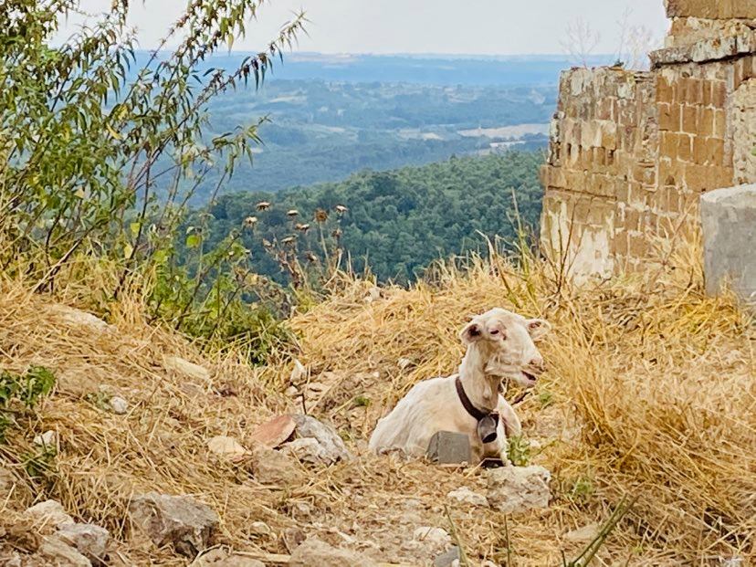 Celleno Il borgo fantasma