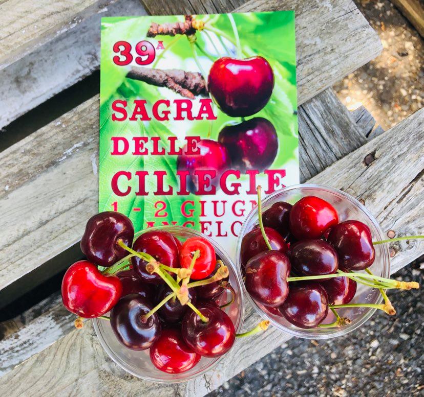 Festa celleno - Volg de Rode Schoentjes in Celleno