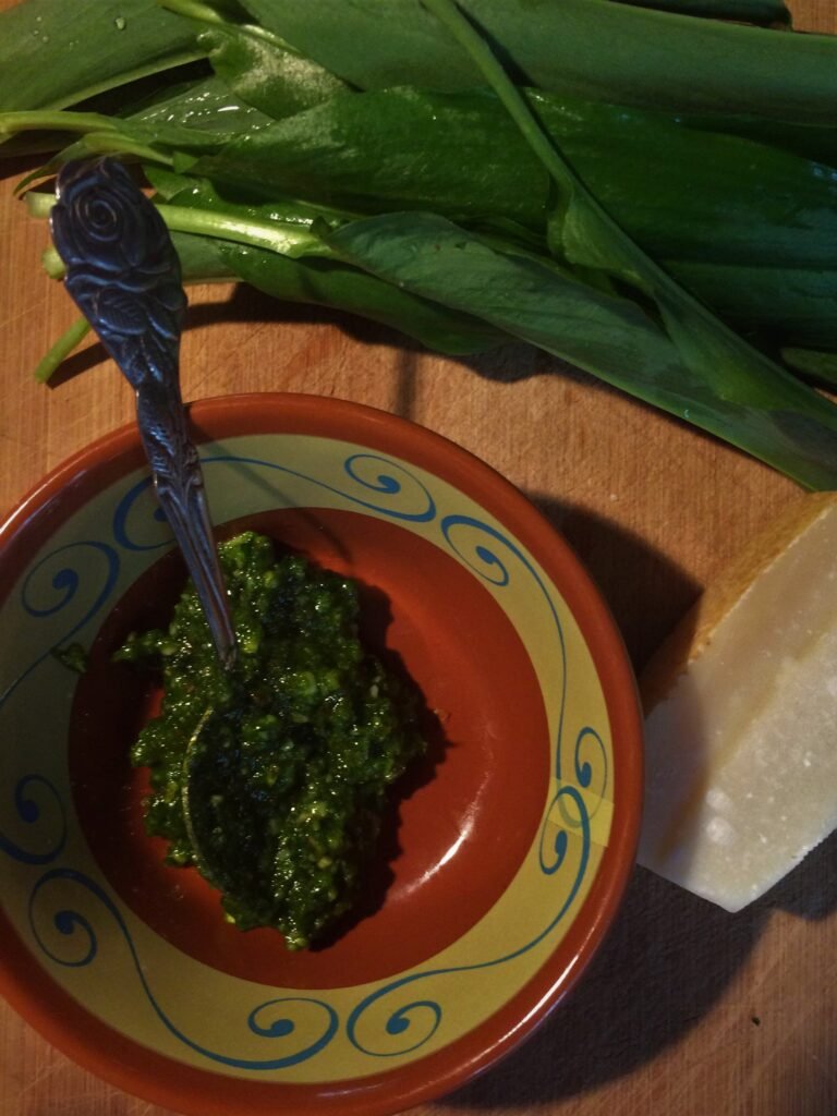 wildpluk koken 5 - Online masterclass Italian vegan cooking 27 March