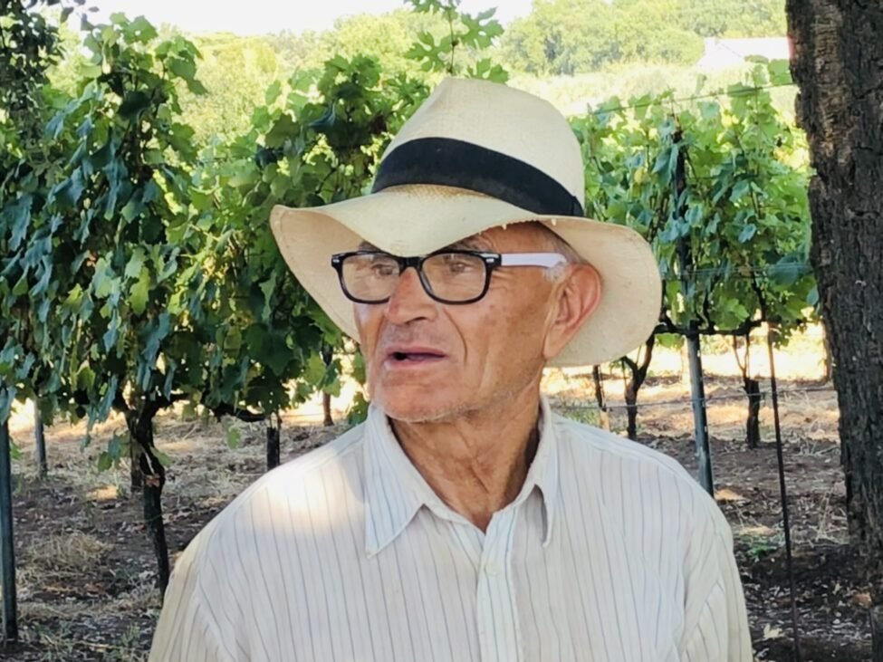 De Cannaiola wijn uit het vissersdorpje Marta aan het Lago di Bolsena.