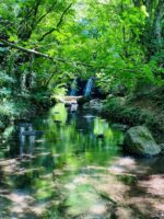Aquatrekking Bolsena met Volg de Rode Schoentjes