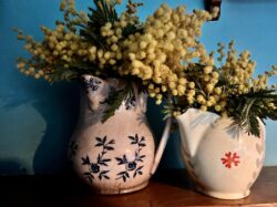 Gratis recept mimosataart 6 - Gratis recept mimosataart