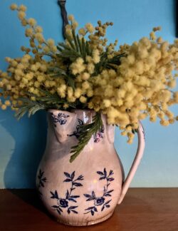 Gratis recept mimosataart 1 - Gratis recept mimosataart