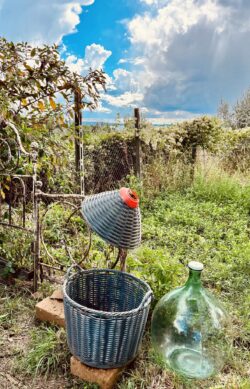 De charme van de damigiane: 2 - De charme van de damigiane: